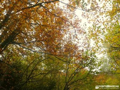 Hayedos Rioja Alavesa-Sierra de Toloño;castillo de herrera del duque mace eivissa mochila para acamp